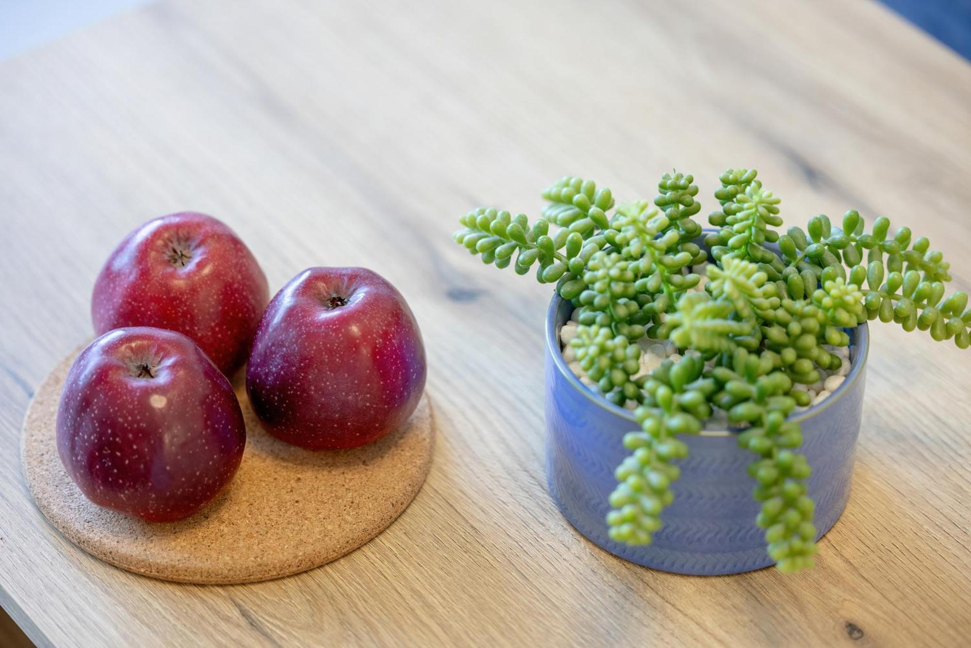 Prestizowe Apartamenty Natural Darlowko By Noclegi Renters Ujście-Darłowskie Eksteriør bilde